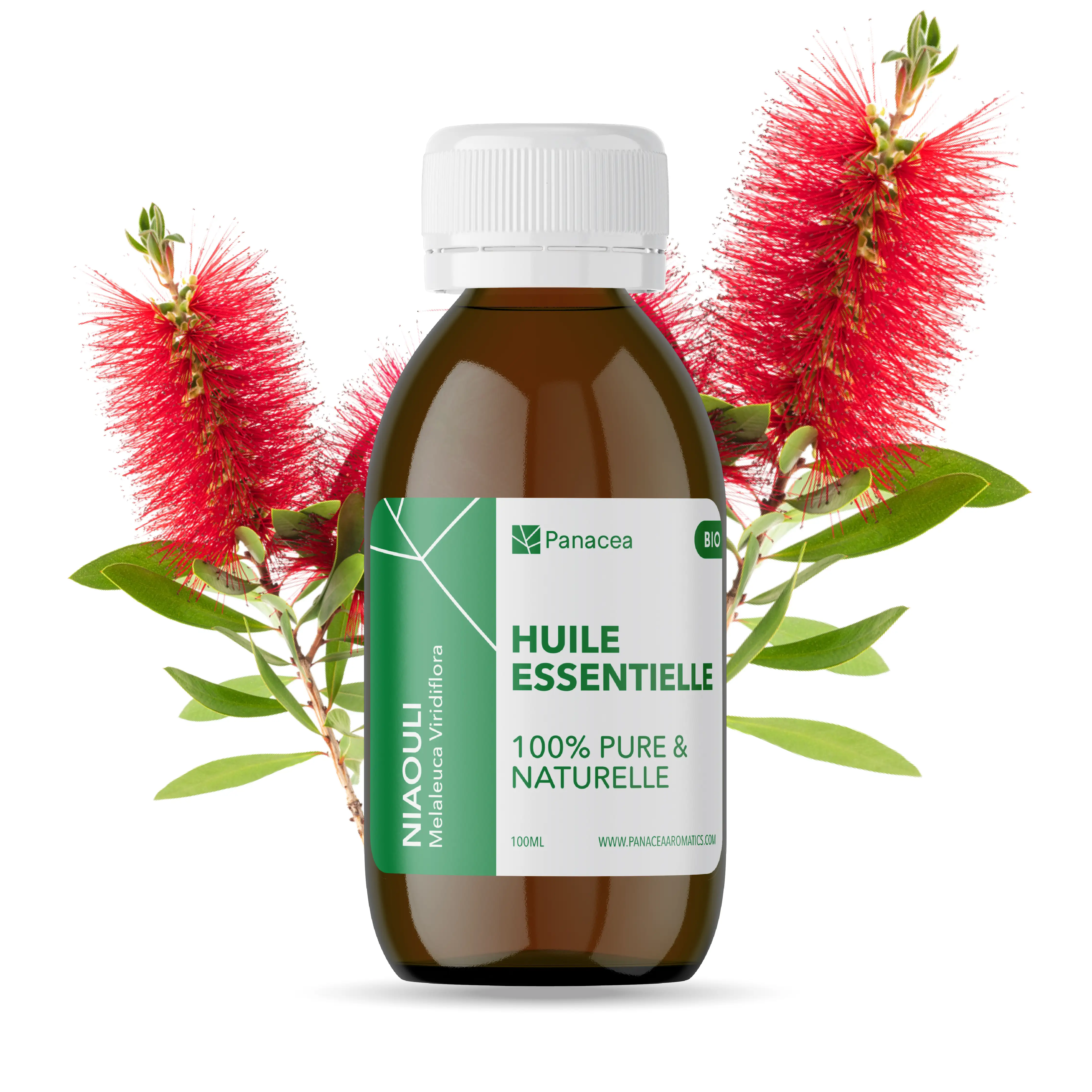 Huile essentielle de Niaouli (Melaleuca viridiflora)